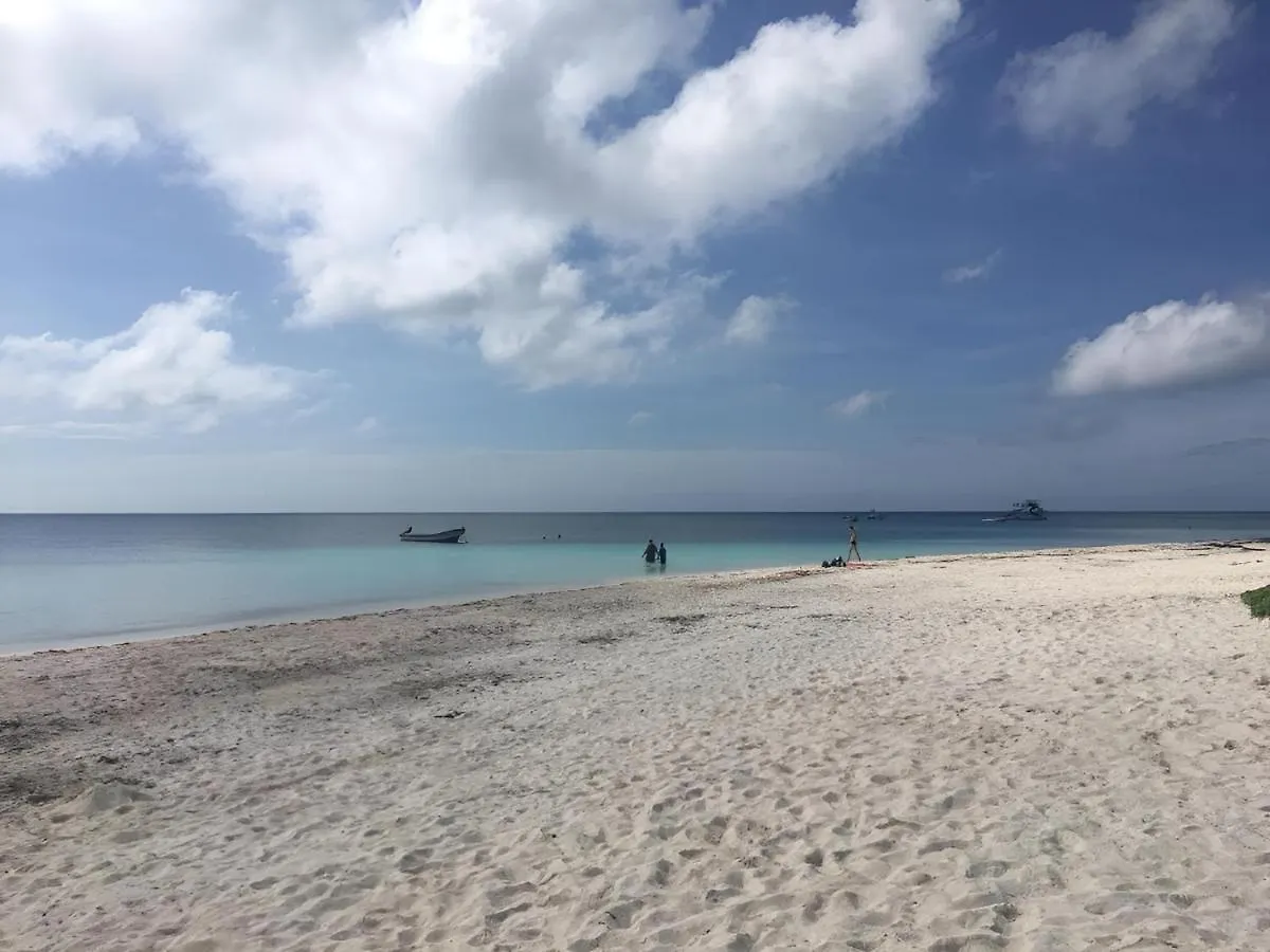 New And Modern 2Bd Apartment Close To The 5Th Avenue Playa del Carmen